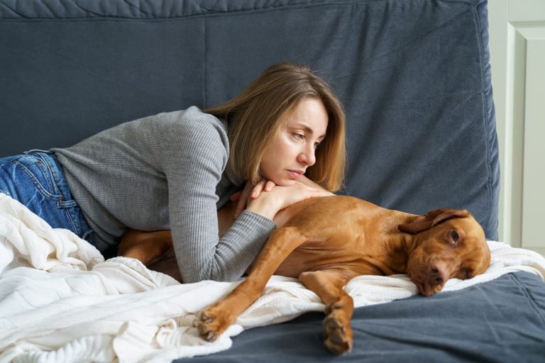 Jak sprawdzić czy pies ma gorączkę bez termometru
